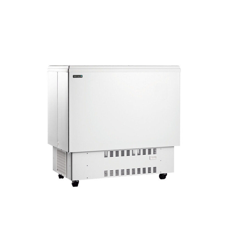 Frigorifero a Pozzetto per Bevande Bianco 226 L TEFCOLD - Freddo & Stoccaggio Frigorifero a Pozzetto per Bevande Bianco 226 L TEFCOLD - Freddo & Stoccaggio