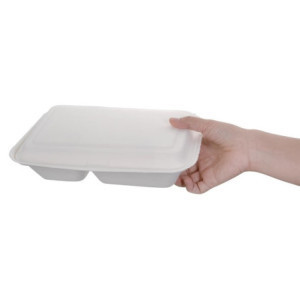 Scatole 2 scomparti in bagassa compostabili 253 mm - Lotto da 200