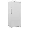 Armadio Congelatore Bianco Ventilato - 600 L - Dynasteel