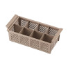Lavastoviglie professionale con dosatore di liquido e detergente - 50x50 cm Dynasteel