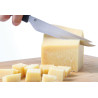 Coltello per formaggio per formaggio duro - Marchio HENDI - Fourniresto
