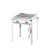 Barbecue a Gas Professionale Green Fire con 2 bruciatori - Marca HENDI