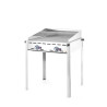 Barbecue a Gas Green Fire con 2 bruciatori - Marca HENDI - Fourniresto