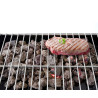 Pietre laviche per barbecue a gas professionale - Fini - Marca HENDI