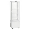 Vetrina refrigerata professionale - 235 L