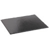 Piatto in ardesia naturale GN 1/3 - Set di 2 - Olympia - Fourniresto