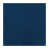 Tovagliolo di carta blu a 2 strati 300 x 300 mm - Lotto da 1500 - FourniResto - Fourniresto