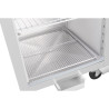 Armadio Refrigerato Positivo GN 1 Porta Serie G - 600 L - Polar