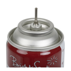Ricarica di butano da 125g - FourniResto - Fourniresto