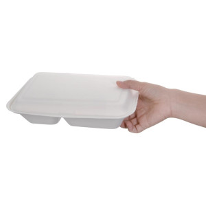 Scatole 2 scomparti in bagassa compostabili 253 mm - Lotto da 200