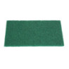 Tampone Abrasivo Verde - 110 x 151 mm - Confezione da 10 - Jantex