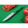 Coltello per verdure lama verde 10 cm - Hygiplas - Fourniresto