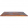 Coperchio di protezione G1, G2, G3, G4 Corten - ARTISS